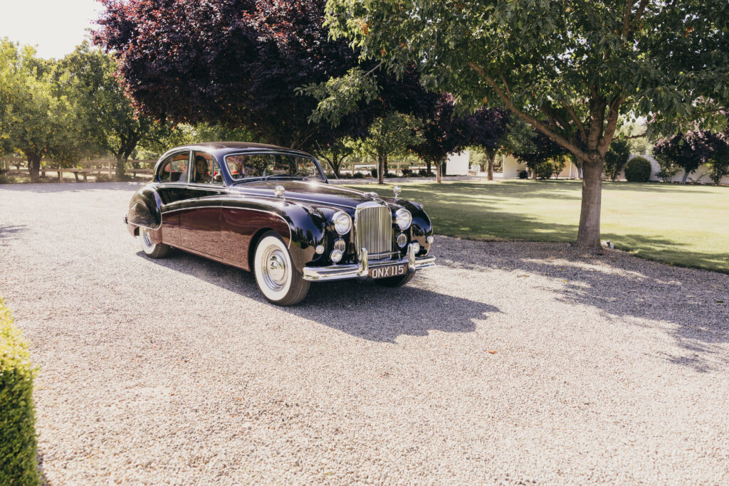 This image has an empty alt attribute; its file name is 178A1736-1024x683.jpg