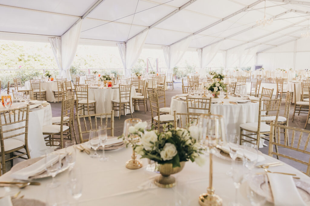 This image has an empty alt attribute; its file name is 178A2158-1024x683.jpg