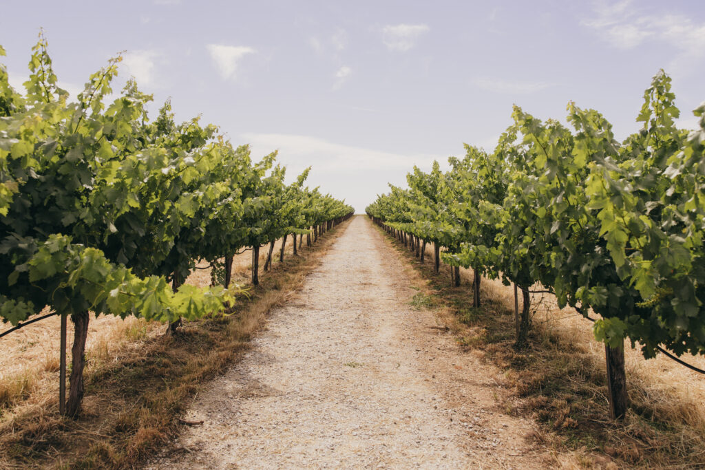 This image has an empty alt attribute; its file name is A68A6022-1024x683.jpg