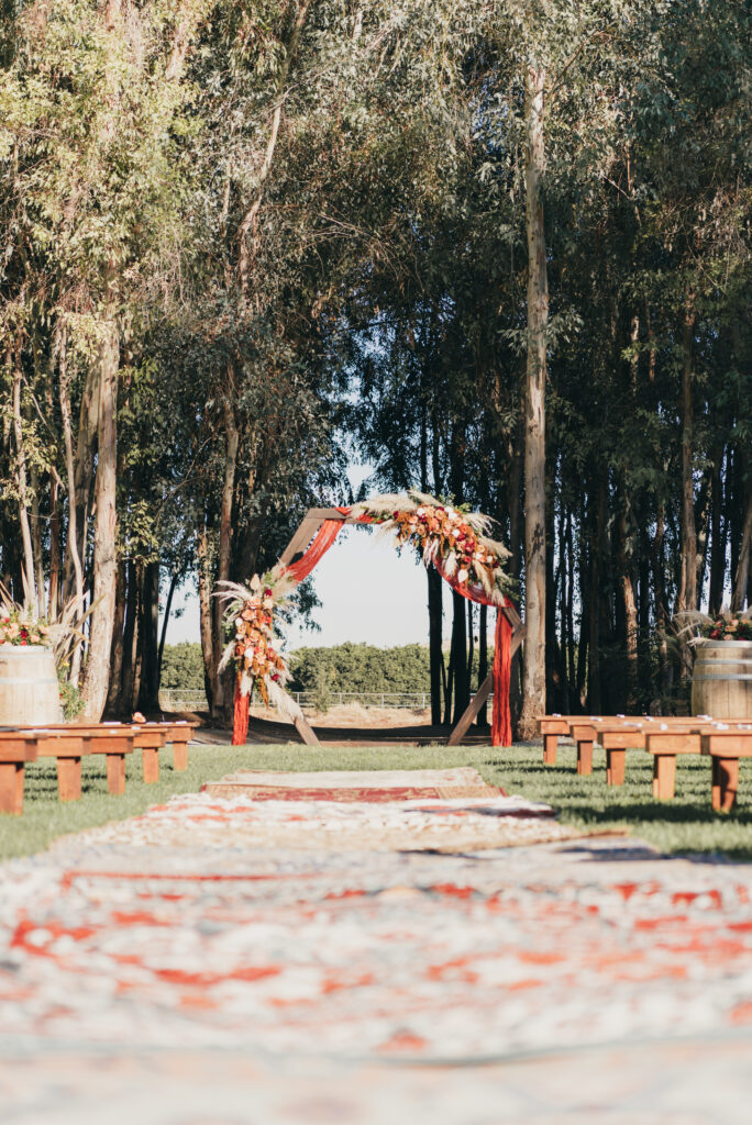 This image has an empty alt attribute; its file name is JLG_2804-684x1024.jpg